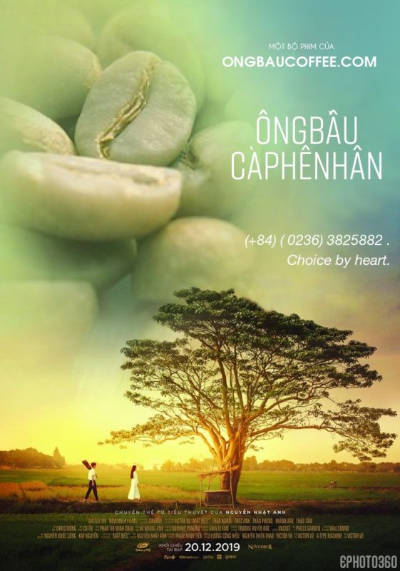 Nhạn Hà Lan tình yêu